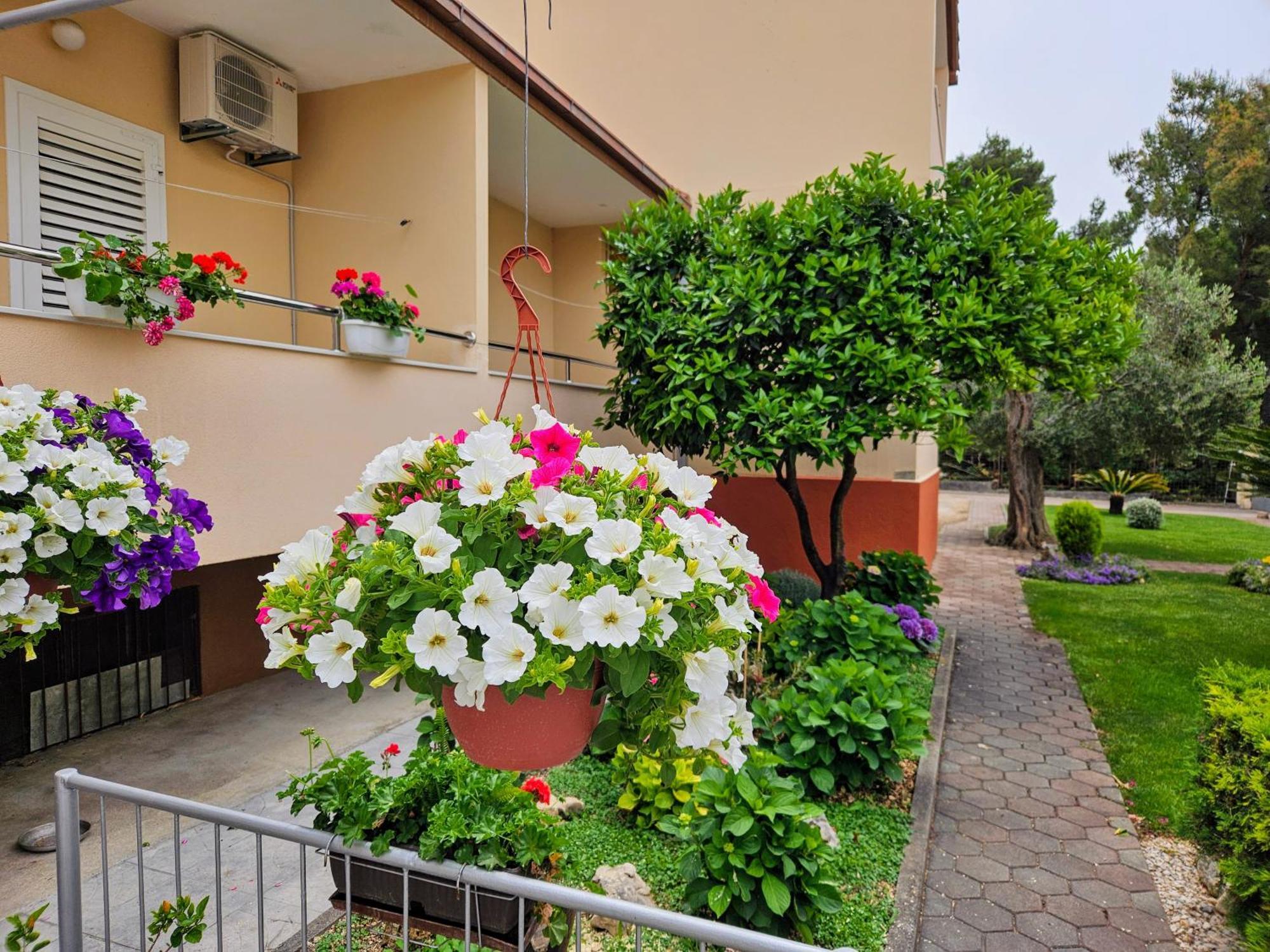Guest House Antonia Baška Voda Zewnętrze zdjęcie